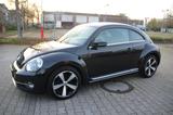 Volkswagen Beetle Lim. Exclusive Design BMT - Volkswagen Beetle in Bochum