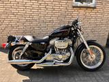 Harley-Davidson Sportster 883 Low *letztes Vergasermodell* - HARLEY-DAVIDSON 2005 883 SPORTSTER