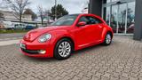 Volkswagen Beetle Lim. Design PDC SHZ PANO 1-HAND 17.825 KM - Volkswagen Beetle in Wuppertal