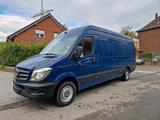 Mercedes-Benz Sprinter 313 2.2 CDI Maxi La... - Mercedes-Benz Sprinter: 313 Cdi Maxi