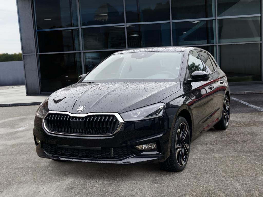 Skoda Fabia Tour 1.0 TSI DSG PDC v+h LED 50L