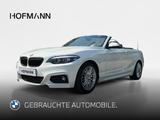 BMW 220i Cabrio Aut. M Sport Navi Business+PDC+SHZ+ - BMW 2er Reihe mit 3 Türen