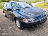 Honda Civic 90PS 3Türer EG4 - Honda Civic: Eg