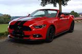 Ford Mustang 5.0 Ti-VCT V8 GT auto GT - Ford Mustang mit Benzin-Antrieb: Cabrio, 5.0