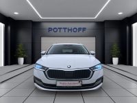 Skoda Octavia - Vorschau Bild 8