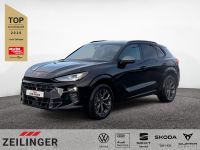 Cupra Terramar - Vorschau Bild 1