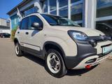 Fiat Panda 4x40 Limitet Edition - Fiat Panda Gebrauchtwagen in Stuttgart