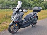 Honda Forza NSS 350 Special Edition Navi v. Extras  - Honda Forza 350 Special Edition