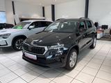 Skoda Karoq Selection mit Winter und Parkenpaket