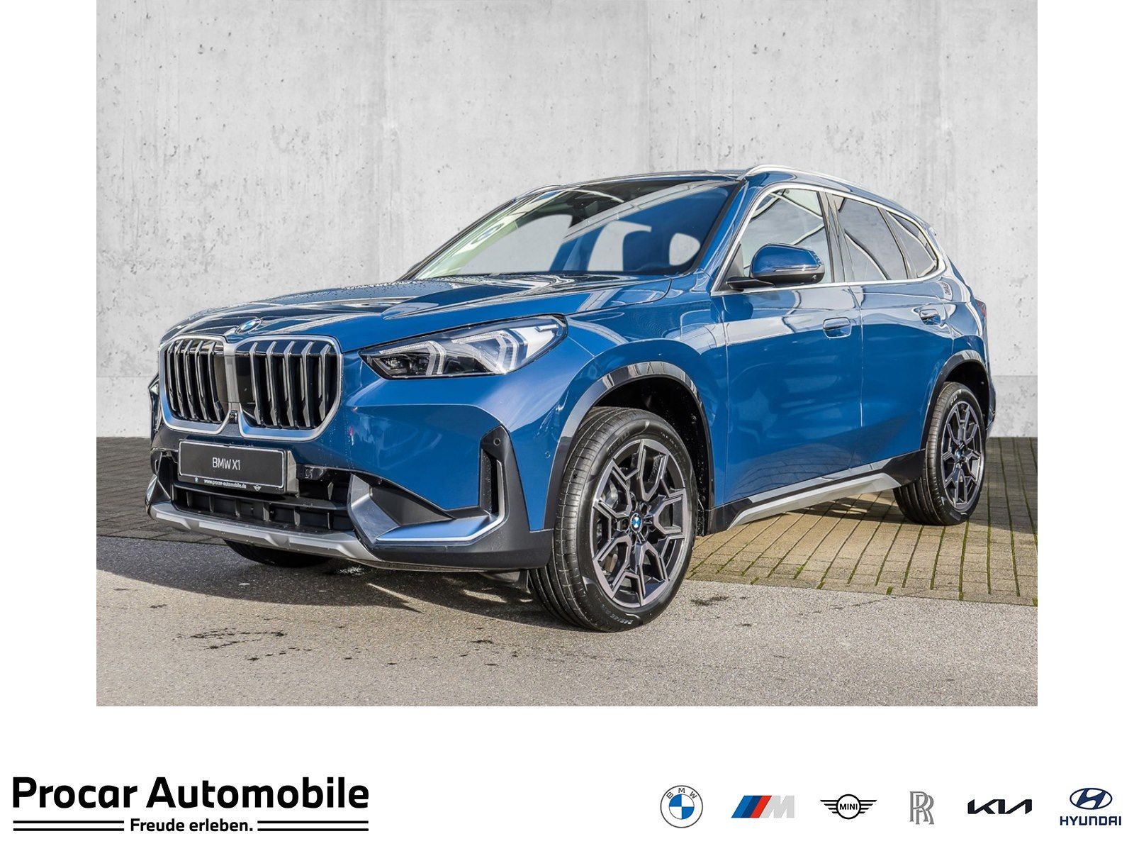 BMW X1 sDrive20i xLine HUD AHK DAPlus 360°Kamera Mas