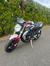 MV Agusta Brutale 800 RR | Quickshifter - MV AGUSTA 800 BRUTALE