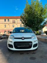 Fiat Panda Easy - Klima - 1 Hand - Fiat Gebrauchtwagen von 2020
