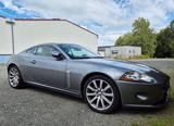 Jaguar XK 4.2L V8 Coupé - Sehr gepflegter Zustand - Jaguar XK: 4.2