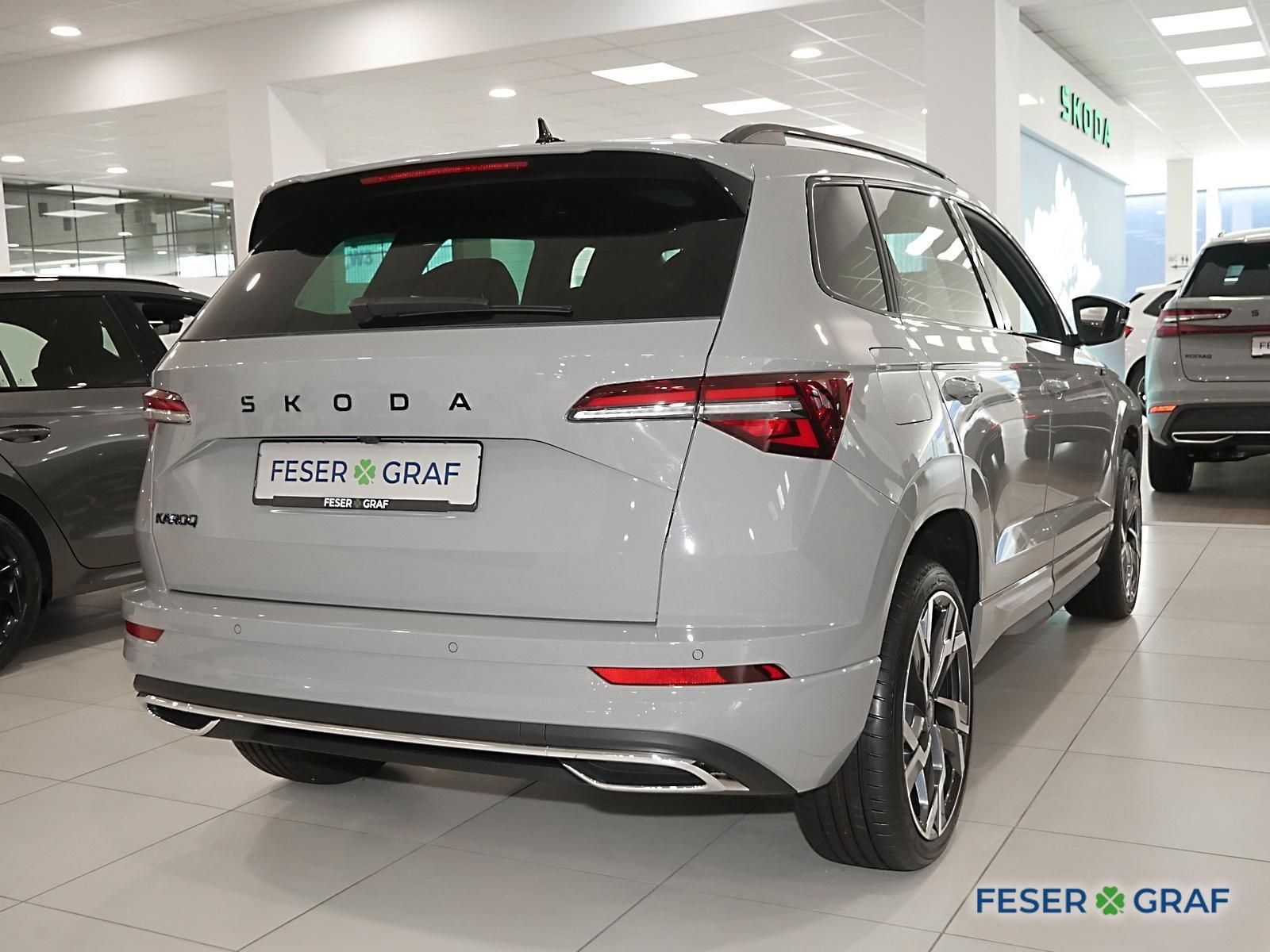 Skoda Karoq - Bild 3
