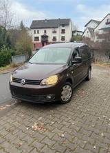 Volkswagen Caddy Maxi 1.6 TDI 7-Sitzer  Roncalli - Volkswagen Caddy Maxi: Roncalli
