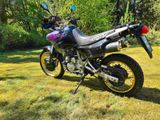 Honda NX 650 Dominator - TÜV Neu - Offers matching your search criteria