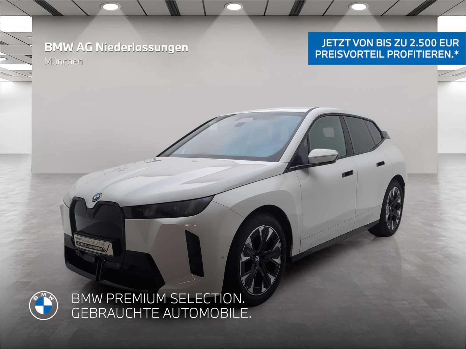BMW iX xDrive45 M Sport AHK Driv.Assist.Prof Kamera