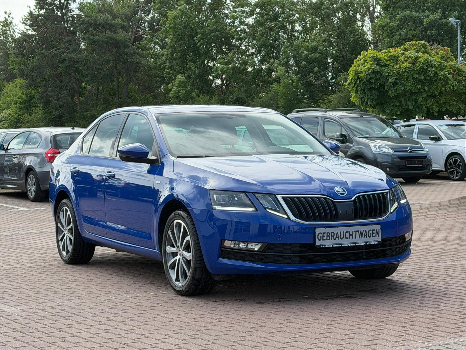 Fahrzeugabbildung SKODA Octavia Lim.*STNDHZNG*SZHZNG*TEMPOMAT*CARPLAY*