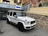 Mercedes-Benz G 63 AMG Mercedes-AMG G 63 - Mercedes-Benz G 63 AMG Tageszulassungen