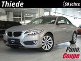 BMW 220i COUPE SPORT LEDER/SHZ/PDC/USB/SCHIEBEDACH - BMW 220: Coupe