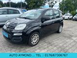 Fiat New Panda 1.2 8V Klima PDC  EURO 6 - Fiat New Panda aus 2017