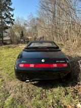 Alfa Romeo Spider - Alfa Romeo Giulietta: Cabrio