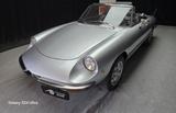 Alfa Romeo Spider 1.6 Junior CERTIF ASI CRS - gebrauchte Alfa Romeo Spider aus dem Jahr 1979