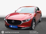 Mazda CX-30 2.0 M-Hybrid SELECTION AHZV abn. - Mazda CX-30 in Dresden
