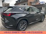 Lexus NX 350h E-Four Business*NAVI*BI-LED*CarPlay* - Lexus NX 350h Gebrauchtwagen
