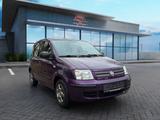 Fiat Panda 1.2 8V Dynamic (Tüv und Service Neu) - Fiat Panda: Dynamic