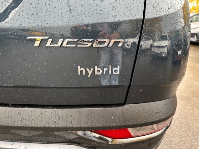 Fahrzeugabbildung Hyundai Tucson Trend Hybrid 2WD El. Panodach Navi Digita
