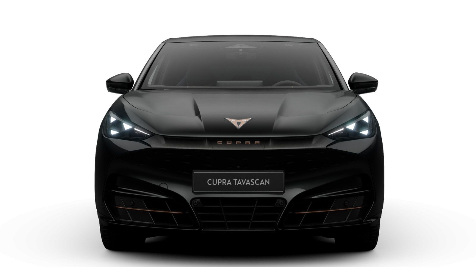 Cupra Tavascan Endurance 77 kWh imagem 3