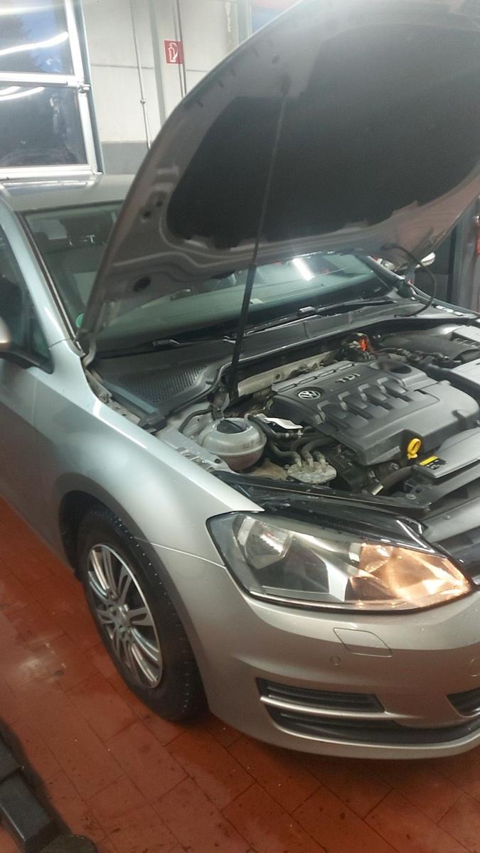 Volkswagen Golf 2013 — photo 7