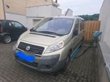 Fiat Scudo - Fiat Scudo aus 2007