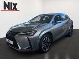 Lexus UX 250h 2.0 Hybrid Luxury Line - Lexus Gebrauchtwagen in Frankfurt