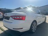 Skoda Superb Lim. Active, 6 Gang, 1. Hand - Skoda Superb: 1.6