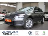 Skoda Kamiq 1.0 TSI Ambition Kamera SHZ PDC - Skoda Kamiq Tageszulassungen