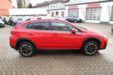 Subaru XV Automatik 4x4 - Kamera/Assistenz/App/Xenon... - rote Subaru XV