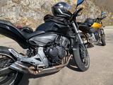 Honda CB 600 F Hornet - HONDA CB 600 F HORNET