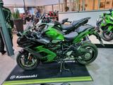 Kawasaki Ninja H2 SX SE Tourer Vorführer - KAWASAKI NINJA H2 SX
