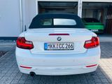 BMW 218i Cabrio Luxury Line gepflegt 2. Hand - : Cabrio, Luxury