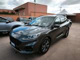 Ford Kuga 2.0 EcoBlue Hybrid 150 CV 2WD ST-Line - Ford Kuga ST-Line mit Hybrid-Antrieb (Diesel-Elektro)