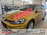 Volkswagen Golf 1.5 TSI Comfortline Winter|Standhzg.|Klimaa - mit Benzin-Antrieb: Gelb, Limousine