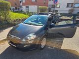Fiat Punto Evo - Fiat Punto Evo mit Panoramadach