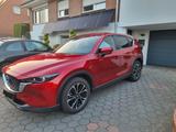 Mazda CX-5 2.5 e-SKYACTIV-G 194 Newground FWD AT N... - Mazda CX-5 Newground mit Benzin-Antrieb
