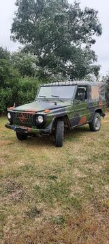 Mercedes-Benz G 250 Wolf - Mercedes-Benz G 250 Gebrauchtwagen