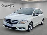 Mercedes-Benz B 200 1.6l +KAMERA+TEMPOMAT+NAVI+ALLWETTER - Mercedes-Benz: Weiß