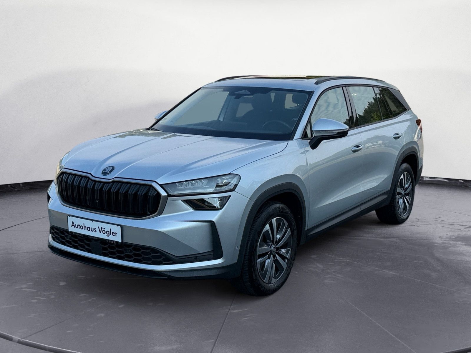 Kodiaq 2,0 TDI 4x4 Leder AHK Canton Matrix ACC