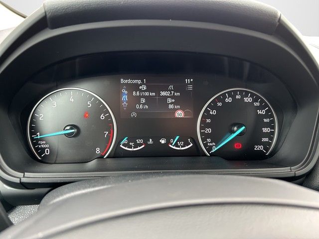 Fahrzeugabbildung Ford EcoSport Active 1.0  EcoBoost 92 kW *Rückfahrkam