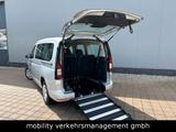 Volkswagen Caddy Maxi Rollstuhlumbau TAXI/Mietwagen - : Van, Mietwagen